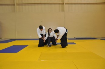 2011 08 trening aikido092