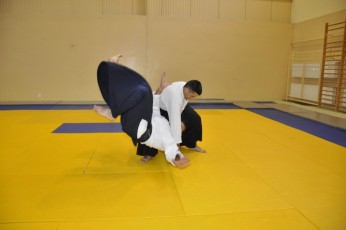 2011 08 trening aikido097