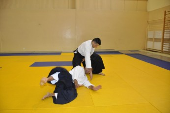 2011 08 trening aikido098