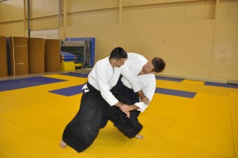 2011 08 trening aikido099