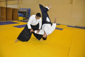 2011 08 trening aikido100