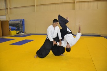 2011 08 trening aikido101