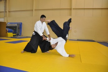 2011 08 trening aikido102