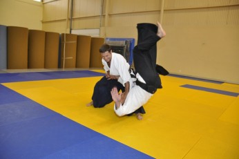 2011 08 trening aikido104