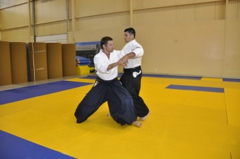 2011 08 trening aikido106