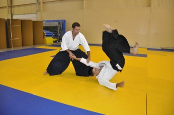 2011 08 trening aikido109