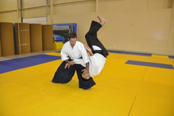 2011 08 trening aikido118