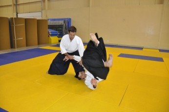 2011 08 trening aikido119