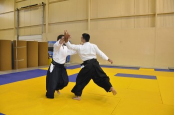 2011 08 trening aikido128