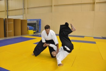 2011 08 trening aikido131