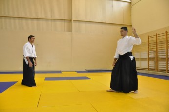 2011 08 trening aikido133