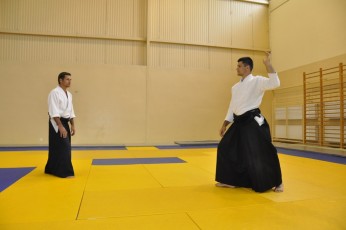 2011 08 trening aikido134