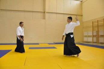 2011 08 trening aikido135