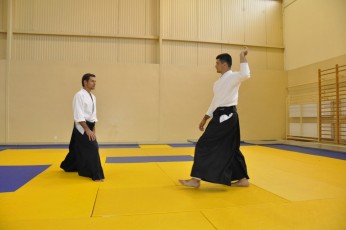 2011 08 trening aikido136