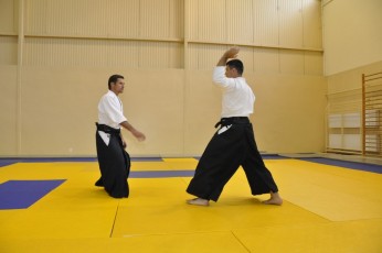 2011 08 trening aikido137