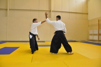 2011 08 trening aikido138