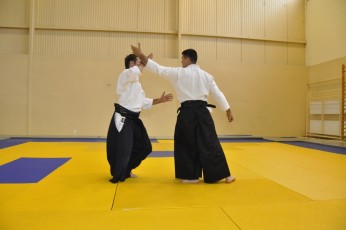 2011 08 trening aikido139