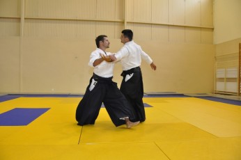 2011 08 trening aikido140