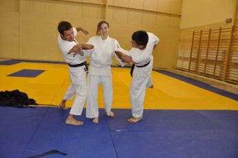2011 08 trening aikido149