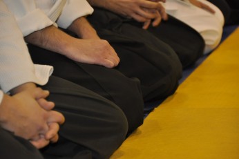 2012 10 trening aikido008