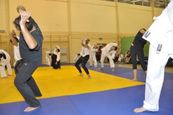 2012 10 trening aikido019