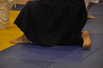 2012 10 trening aikido040