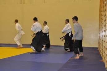 2012 10 trening aikido047