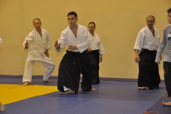 2012 10 trening aikido048