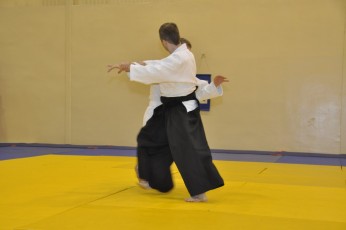 2012 10 trening aikido051