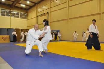 2012 10 trening aikido056