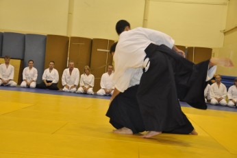 2012 10 trening aikido062