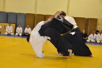 2012 10 trening aikido063