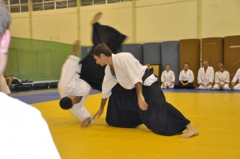 2012 10 trening aikido064