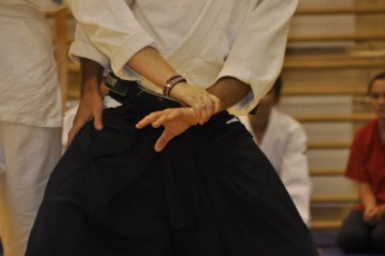 2012 10 trening aikido079