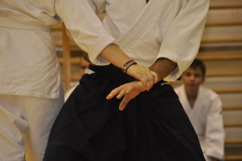 2012 10 trening aikido080