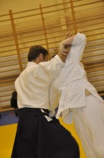 2012 10 trening aikido083