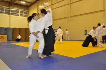2012 10 trening aikido092