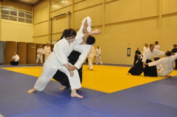 2012 10 trening aikido093