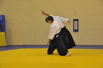 2012 10 trening aikido096