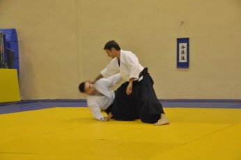 2012 10 trening aikido097