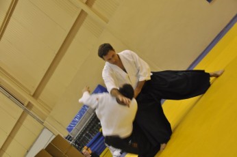 2012 10 trening aikido099