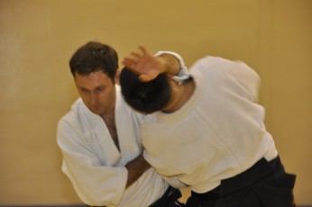 2012 10 trening aikido102