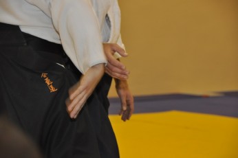 2012 10 trening aikido106