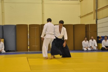 2012 10 trening aikido110