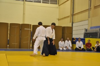 2012 10 trening aikido111