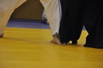 2012 10 trening aikido113