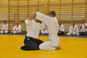 2012 10 trening aikido117