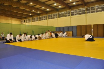 2012 10 trening aikido149