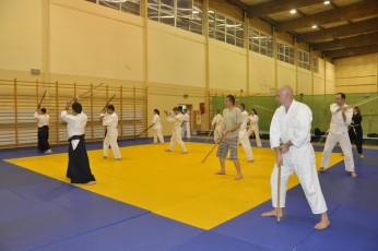 2012 10 trening kenjutsu013