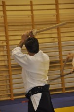 2012 10 trening kenjutsu014
